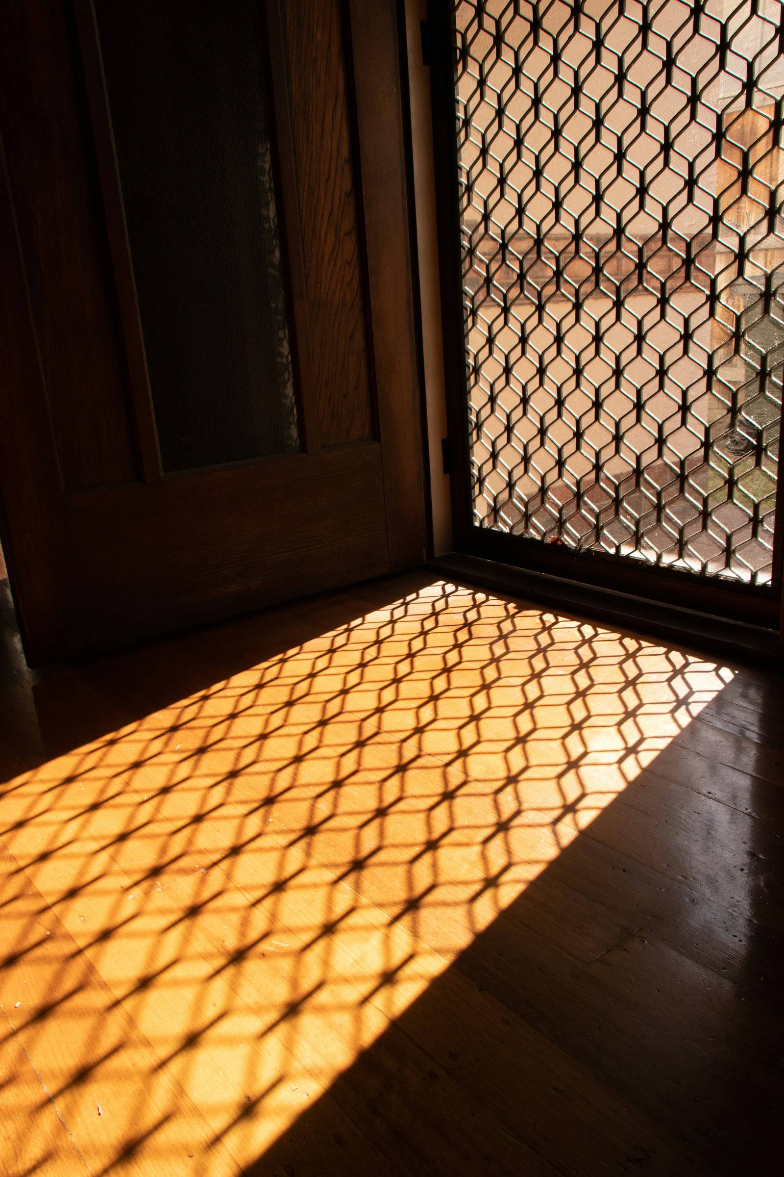 Sunlight coming through a residential screen door